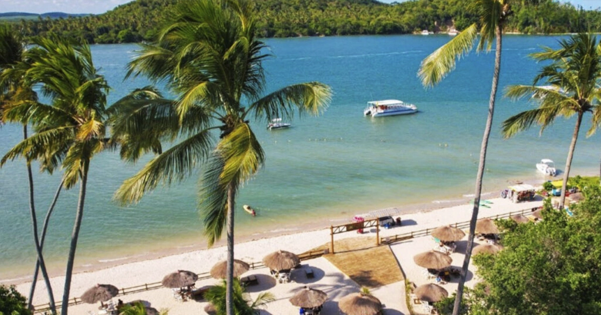 7 Experiências Pé-na-Areia Essenciais em Carneiros