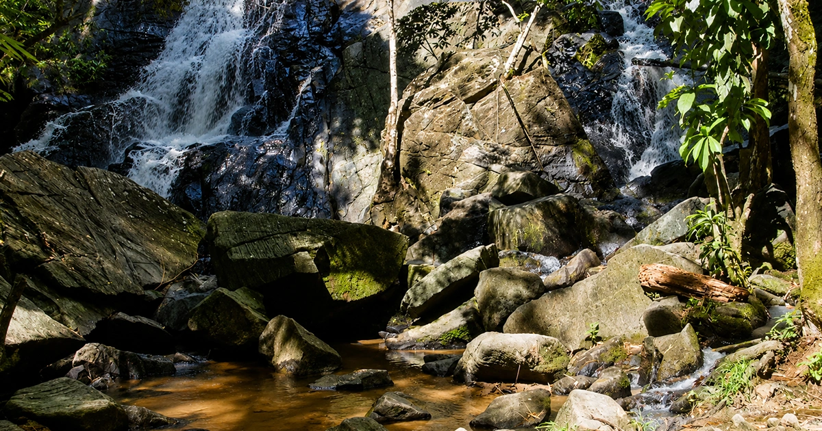 Cachoeira Bulha D’Água: a pausa de água doce que Tamandaré esconde na estrada mais bonita
