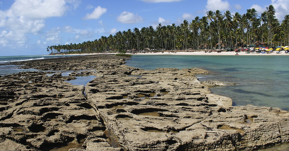 Praia dos Carneiros
